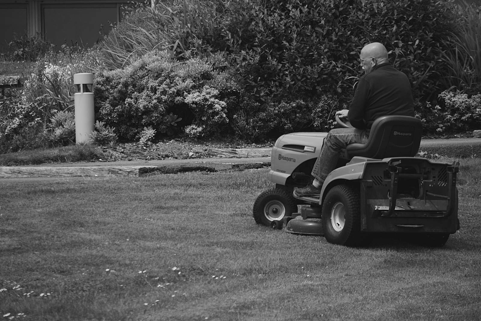 Lawn care in a green garden